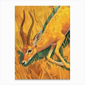 Antelope 18 Canvas Print