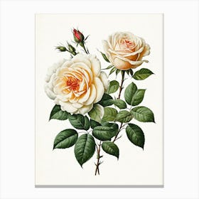 Vintage Galleria Style Rose Art Painting 20 Canvas Print