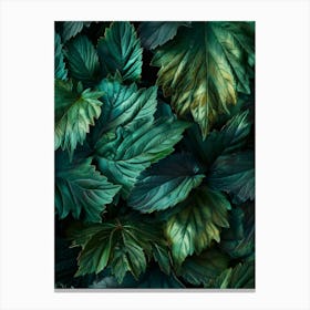 Emerald Green Leaves Canvas Print