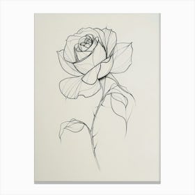 English Rose Black And White Line Drawing 38 Canvas Print