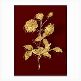 Vintage China Rose Botanical in Gold on Red n.0347 Canvas Print
