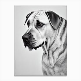 Boerboel B&W Pencil dog Canvas Print