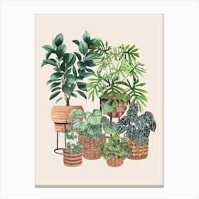 House Plants Club Canvas Print