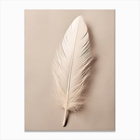 White Feather 4 Canvas Print