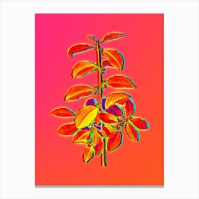Neon Alder Buckthorn Botanical in Hot Pink and Electric Blue n.0612 Canvas Print