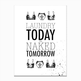 Laundrey Today Or Naked Tomorrow Canvas Print