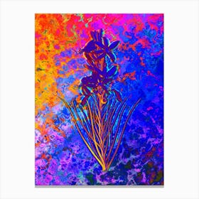 Yellow Asphodel Botanical in Acid Neon Pink Green and Blue n.0088 Canvas Print