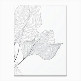 Abstract Drawing Of A Leaf Canvas Print