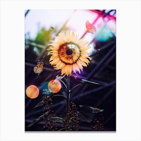 The Eye Of The Sunflower Canvas Print