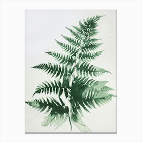 Green Ink Painting Of A Leatherleaf Fern 2 Canvas Print