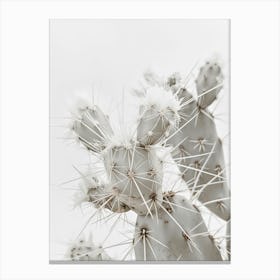 Whttcactus Canvas Print