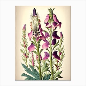 Foxglove 3 Floral Botanical Vintage Poster Flower Canvas Print