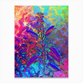 Sage Plant Botanical in Acid Neon Pink Green and Blue n.0074 Canvas Print