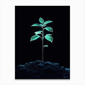 Green Plant In The Dark 5 Canvas Print