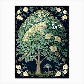 Umbrella Tree 1 Floral Botanical Vintage Poster Flower Canvas Print