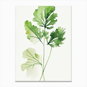 Cilantro Leaf Minimalist Watercolour 2 Canvas Print