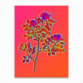 Neon Rose Corymb Botanical in Hot Pink and Electric Blue n.0190 Canvas Print