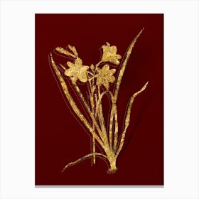 Vintage Daylily Botanical in Gold on Red n.0602 Canvas Print