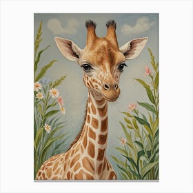 Giraffe Baby Canvas Print