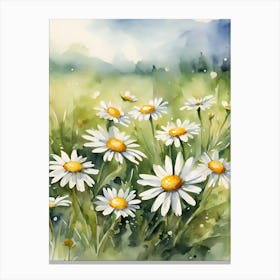 Daisy flowers Canvas Print