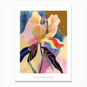 Colourful Flower Illustration Poster Everlasting Flower 2 Canvas Print