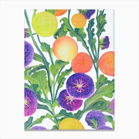 Kohlrabi Marker vegetable Canvas Print