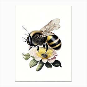 Bumblebee 4 Vintage Canvas Print