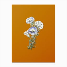 Vintage Sky Blue Alona Flower Botanical on Sunset Orange n.0778 Canvas Print