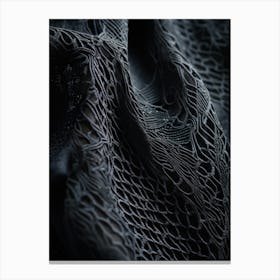 An Up Close View Of An Intricate Lace Texture Detailing The Fine Mesh Of Interwoven Fibers Contras (5) Canvas Print