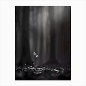 Lily Of The Valley 7 Canvas Print