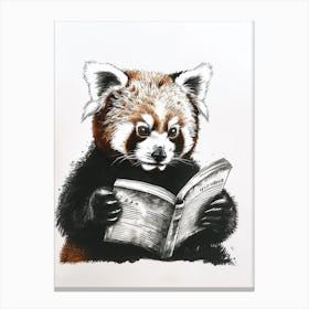 Red Panda Reading Ink Illustration 1 Canvas Print