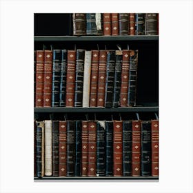 Library Book Shelf Books Canvas Print