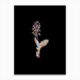 Stained Glass Brown Widelip Orchid Mosaic Botanical Illustration on Black n.0249 Canvas Print