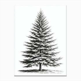 Fir Tree Pencil Sketch Ultra Detailed 1 Canvas Print