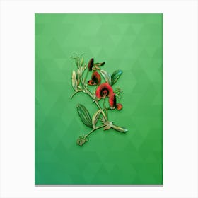 Vintage Tangier Pea Flower Botanical Art on Classic Green n.0105 Canvas Print