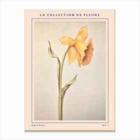 Daffodil French Flower Botanical Poster Canvas Print