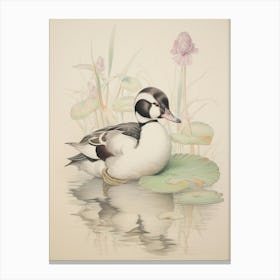 Vintage Bird Drawing Bufflehead 1 Canvas Print