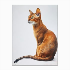 Abyssinian Cat Painting 1 Canvas Print