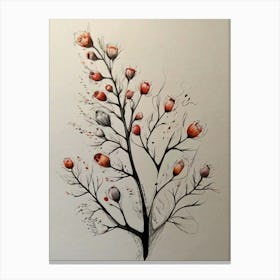 Pomegranate Tree Canvas Print