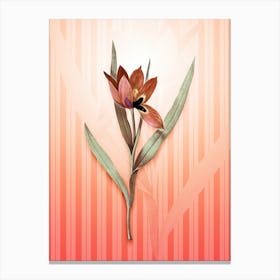 Tulipa Oculus Colis Vintage Botanical in Peach Fuzz Awning Stripes Pattern n.0194 Canvas Print