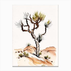 Joshua Tree In Grand Canyon Minimilist Watercolour  (3) Canvas Print