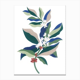 Coffee Plant Botanical Gouache Painting Canvas Print