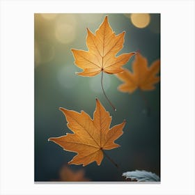 Autumn Leaves Canvas Print