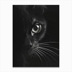 Black Cat 27 Canvas Print