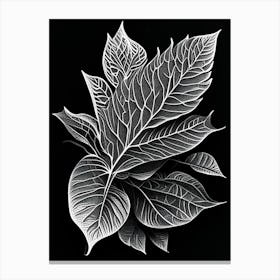 Tulsi Leaf Linocut 2 Canvas Print