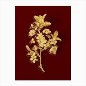 Vintage White Plum Flower Botanical in Gold on Red n.0139 Canvas Print