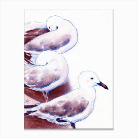 Seagulls On The Beach Of The Sea Canvas Print