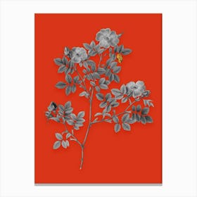Vintage Rose Corymb Black and White Gold Leaf Floral Art on Tomato Red n.0352 Canvas Print
