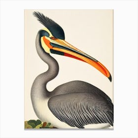 Pelican James Audubon Vintage Style Bird Canvas Print