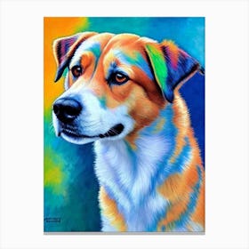 Finnish Spitz 2 Fauvist Style dog Canvas Print